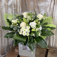 classic Whites 