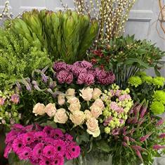 florist choice pinks 