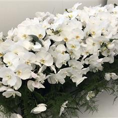 The Adorned Casket Spray Orchid