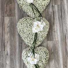 Gypsophila &amp; White Orchid Hearts 