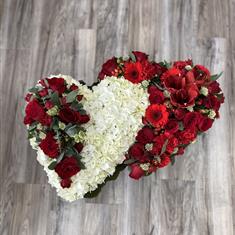 Double Open Heart 1003