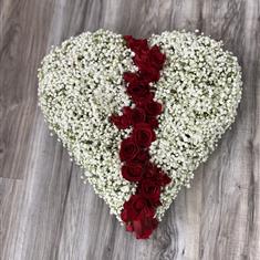 Gypsophila Heart 