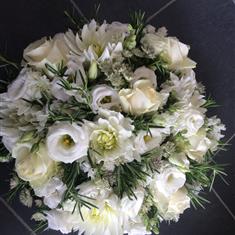 Posy Whites 