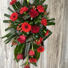 Gerbera Spray 