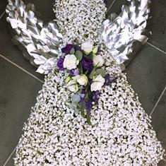 Gypsophila Angel 
