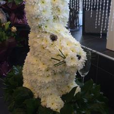 Bunny Tribute 