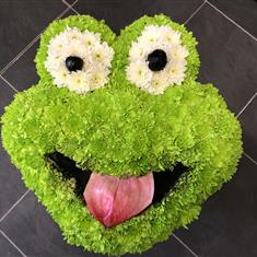 Frog Face 