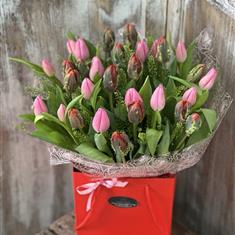 Tulips of love 