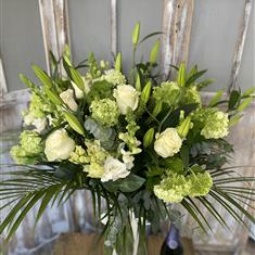 The Mandrake Vase