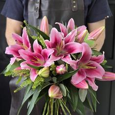 Pink Lily Lovers 